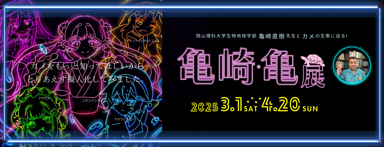 亀崎・亀展