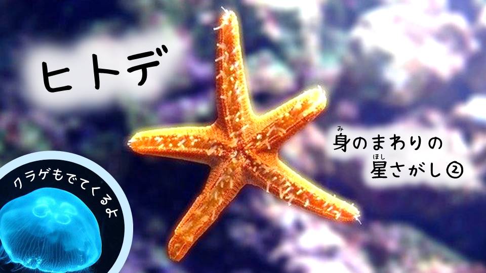 身の回りの星さがし2