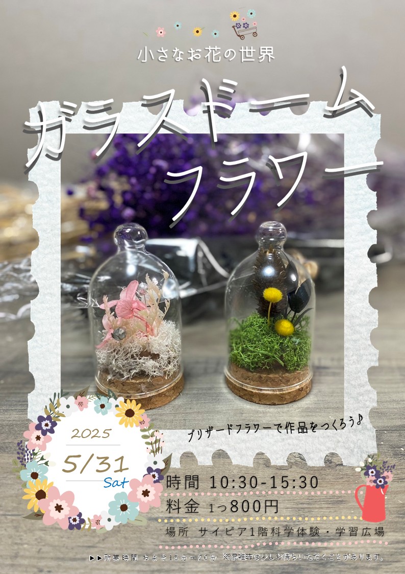 チラシ