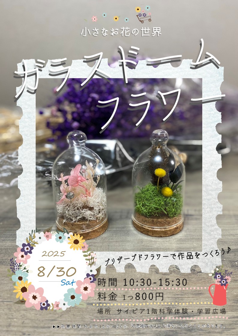 チラシ