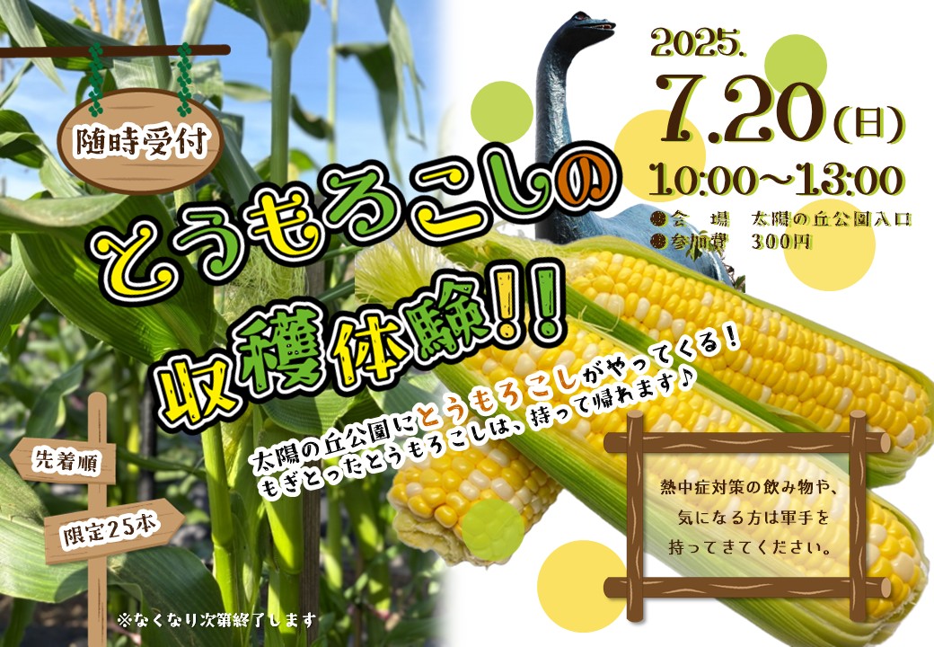 チラシ