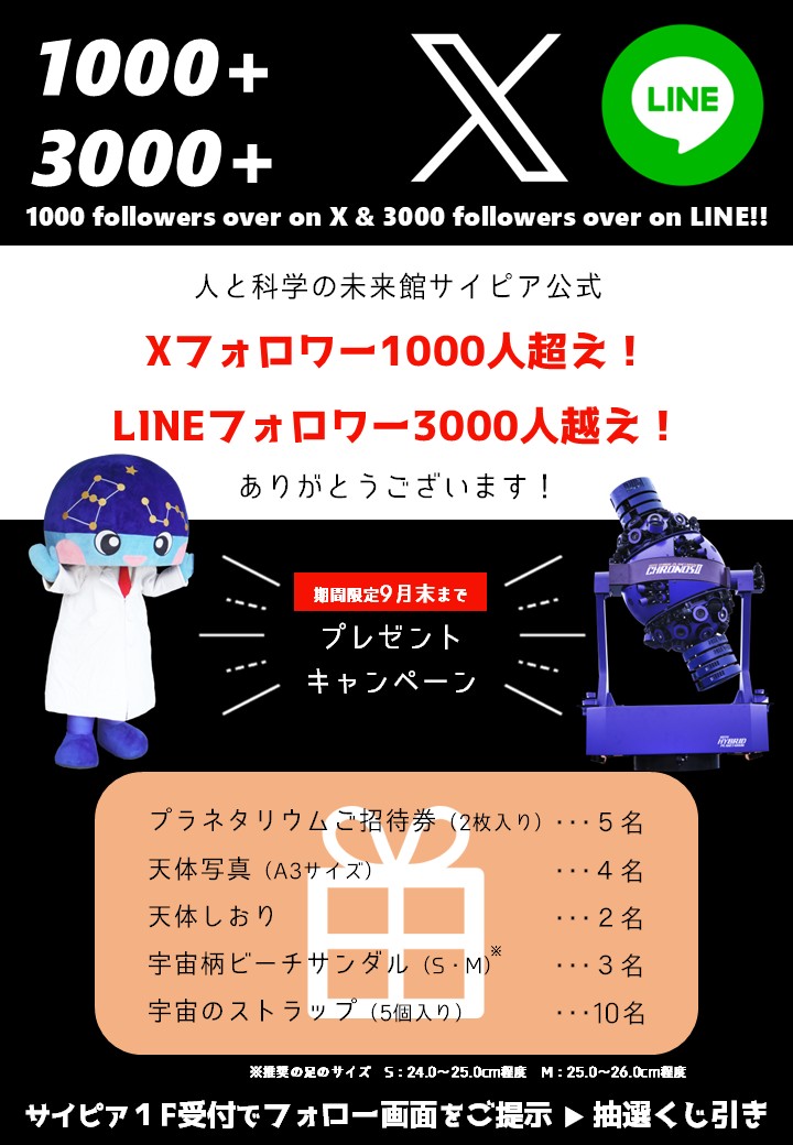 チラシ