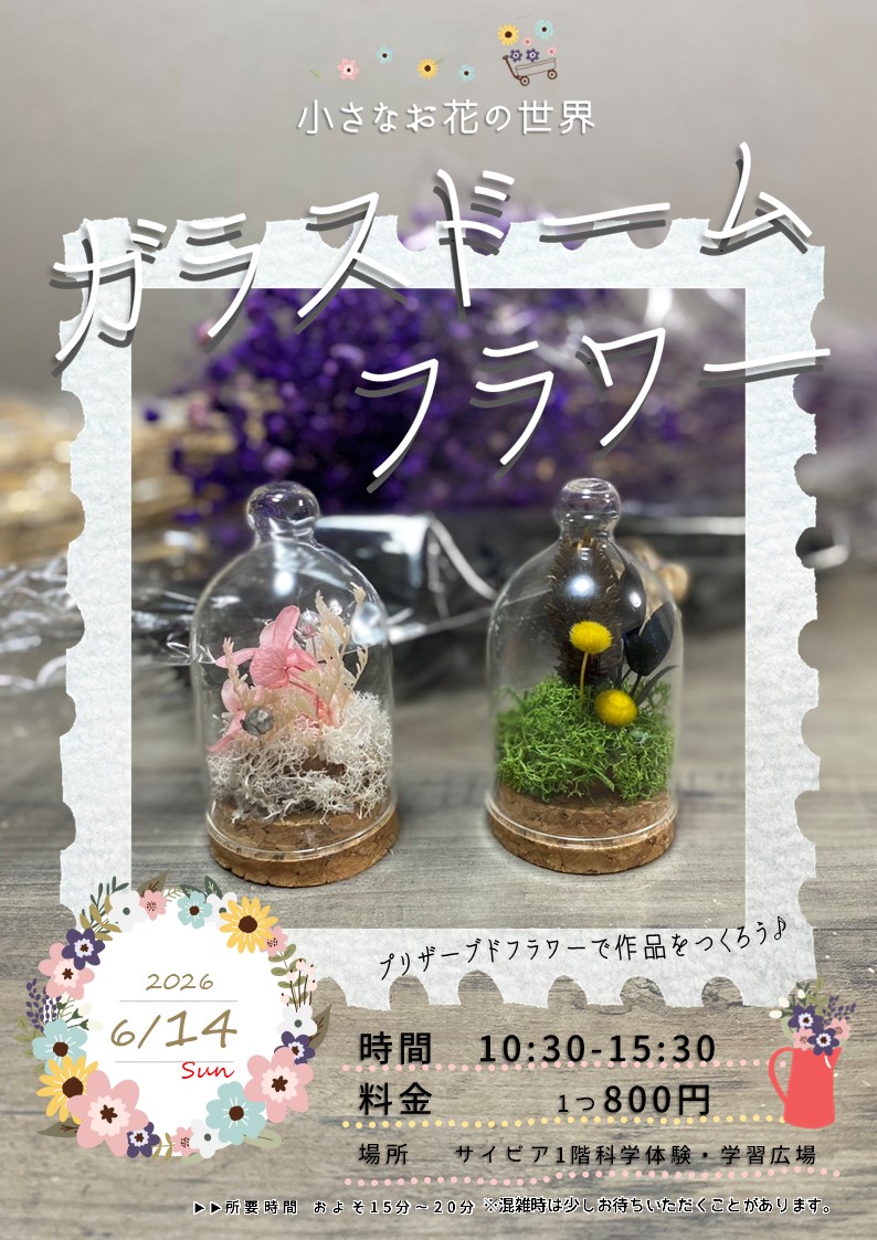 チラシ