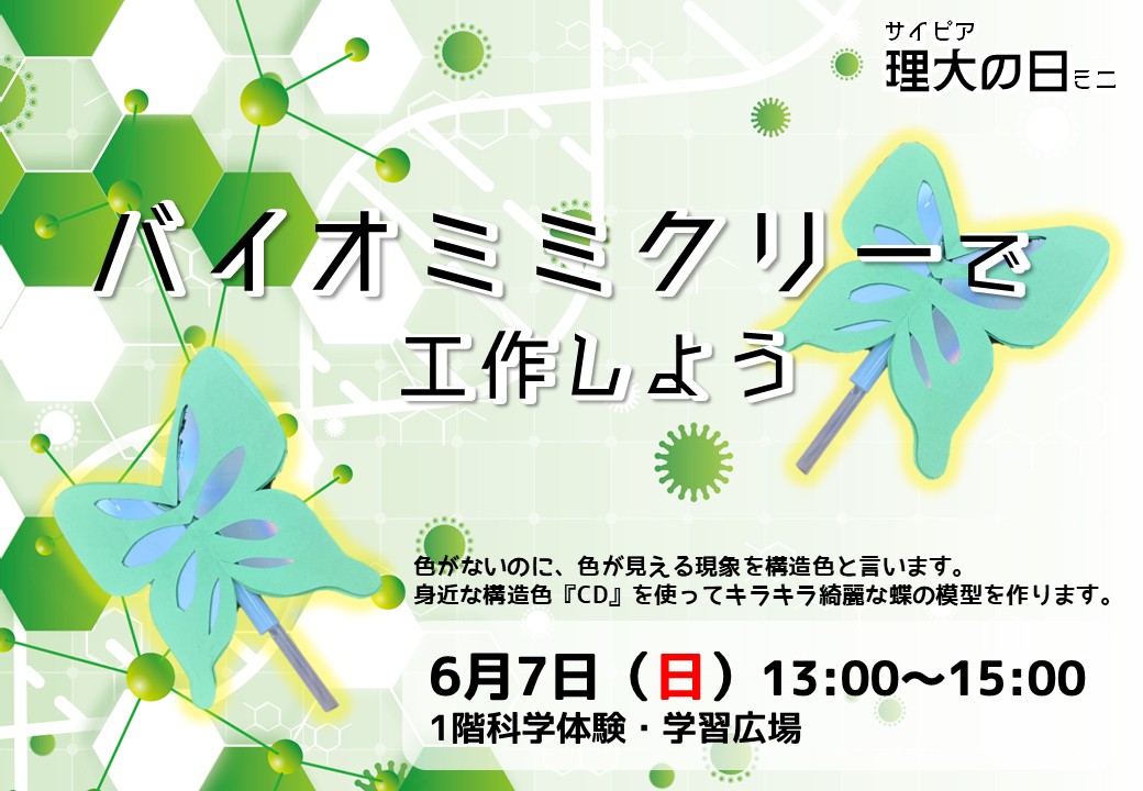 チラシ