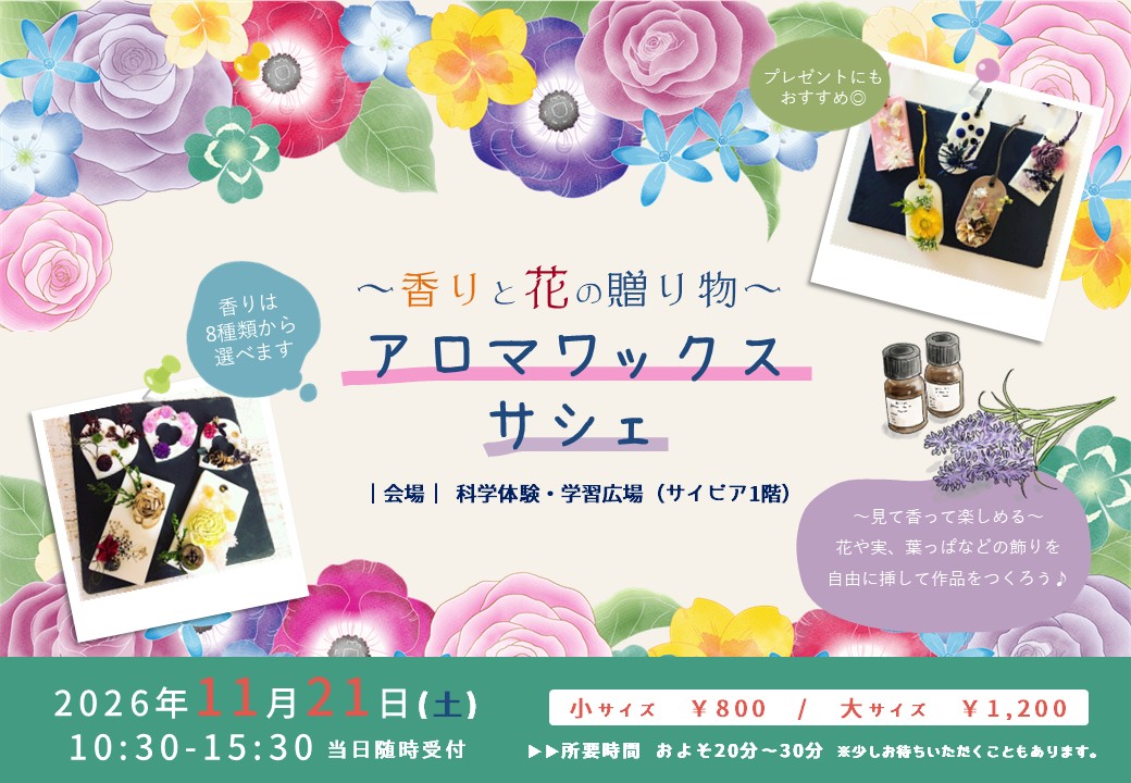 チラシ